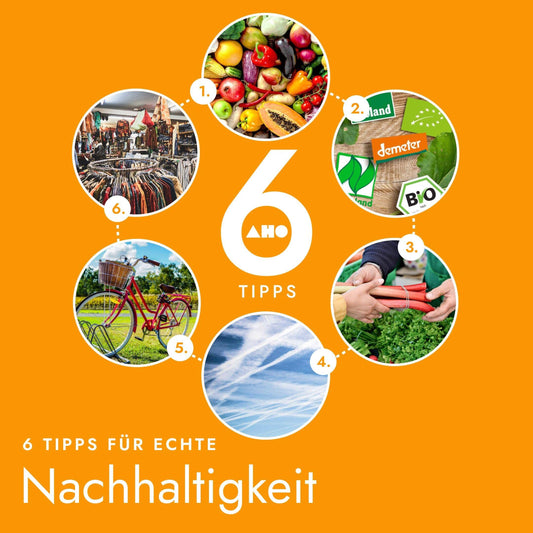 6 Tipps für echte Nachhaltigkeit