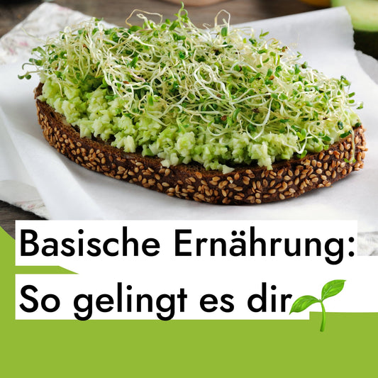 Basische Ernährung - das steckt dahinter und so gelingt dir der Einstieg