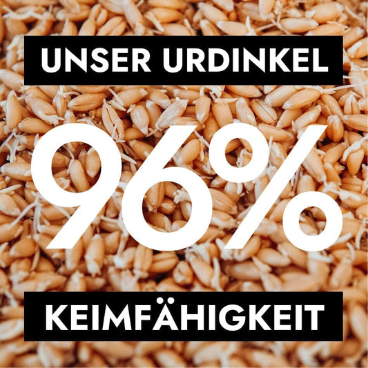 Überragende 96% Keimfähigkeit durch eigene Produktion