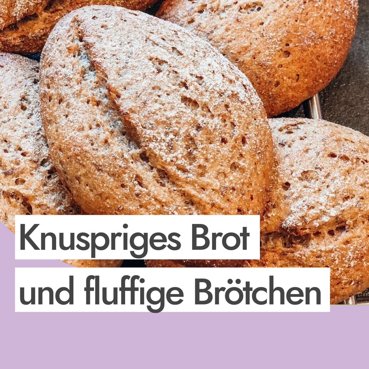 Bio Dinkel-Vollkornbrot und Brötchen aus Sprossenmehl