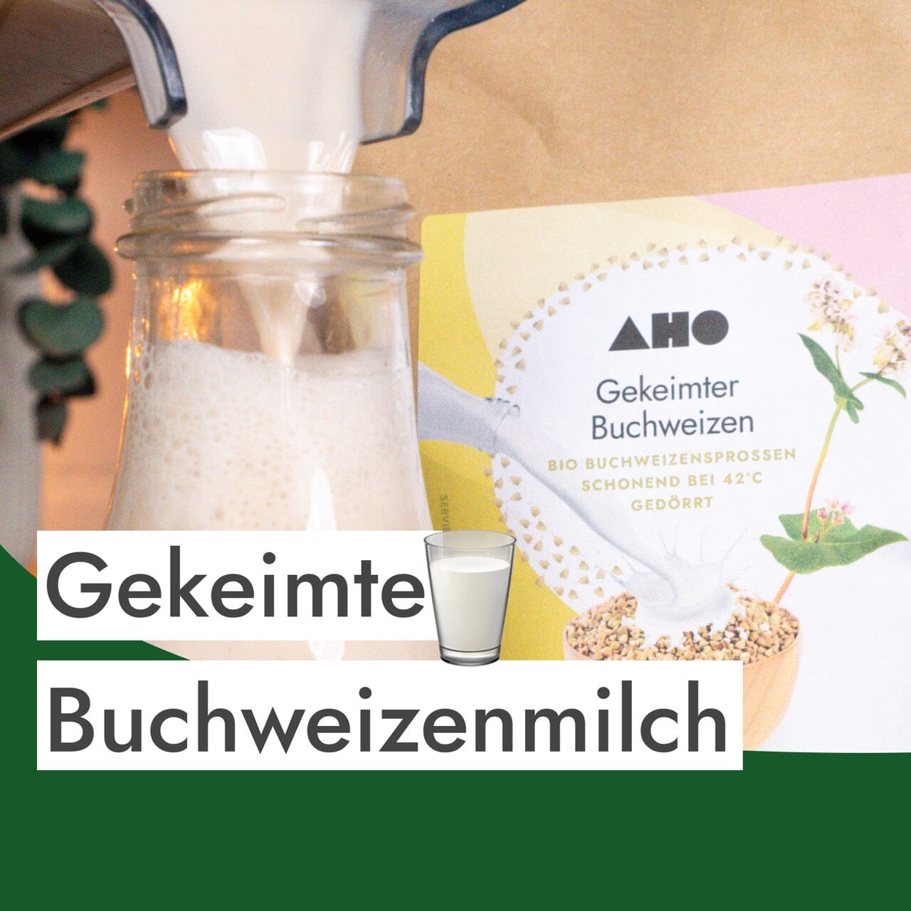 Buchweizenmilch aus gekeimtem Buchweizen