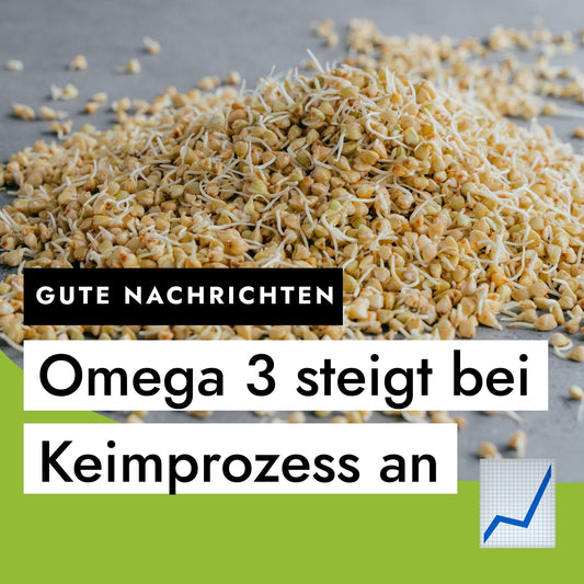 Großartige Nachrichten: Mehr Omega-3-Fettsäuren nach der Keimung!