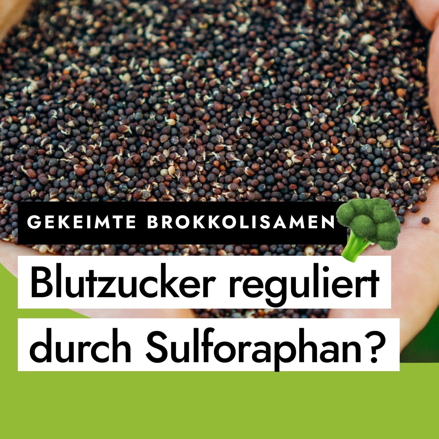 Wie Sulforaphan aus gekeimtem Brokkoli laut neuester Studie den Blutzucker reguliert