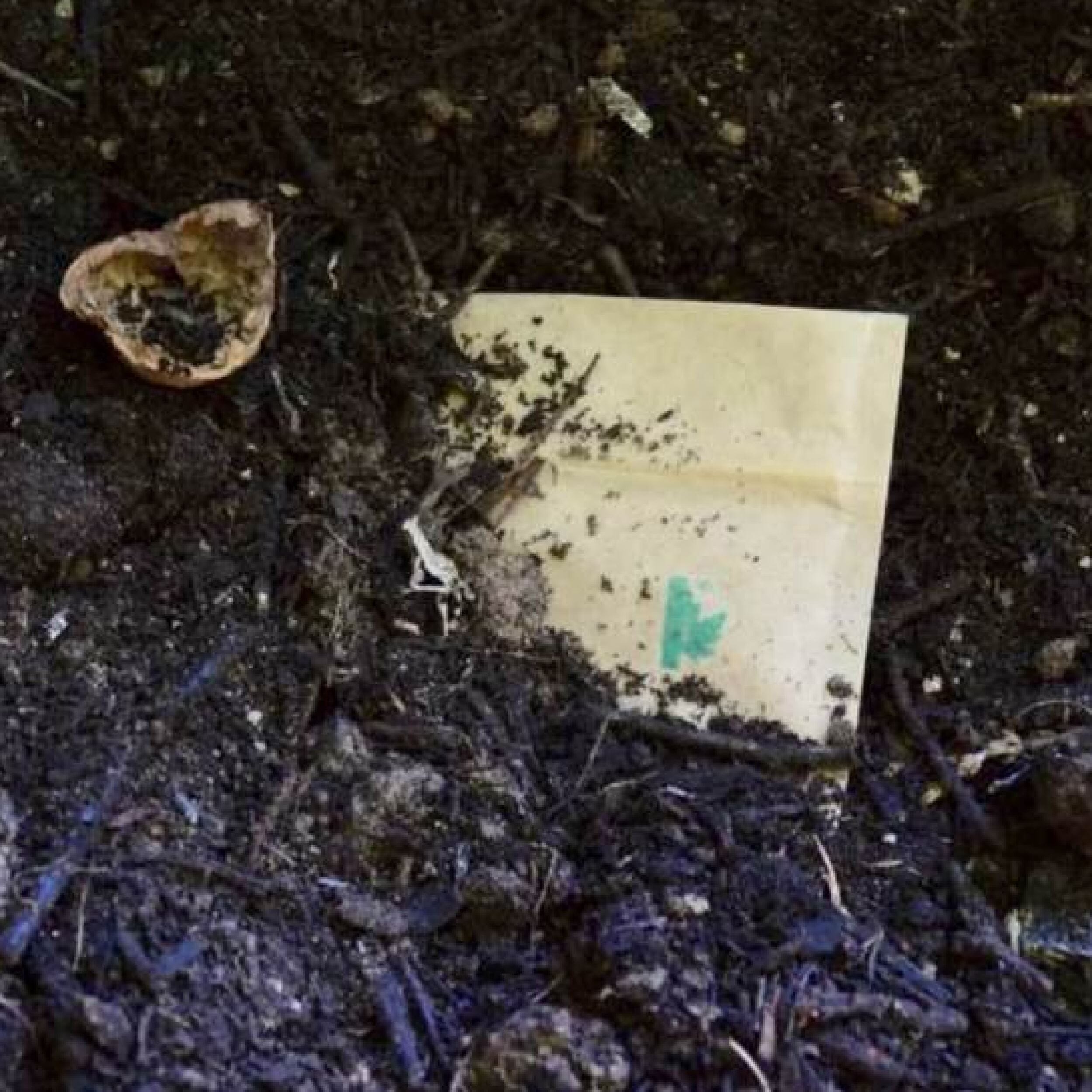 GreenWorks Kompostierbare Schüsseln Aus Bagasse & Bambus – 340 Ml, 100 Stück, Ungebleicht & Mikrowellengeeignet
