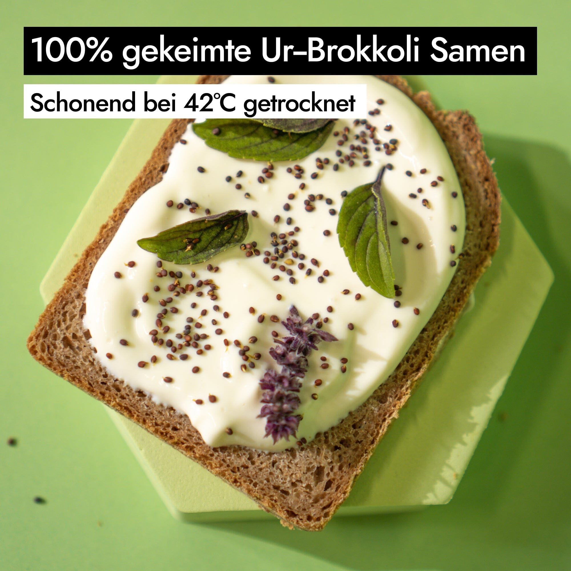 AHO Gekeimte Ur-Brokkoli Samen Ölsaaten AHO.BIO GmbH
