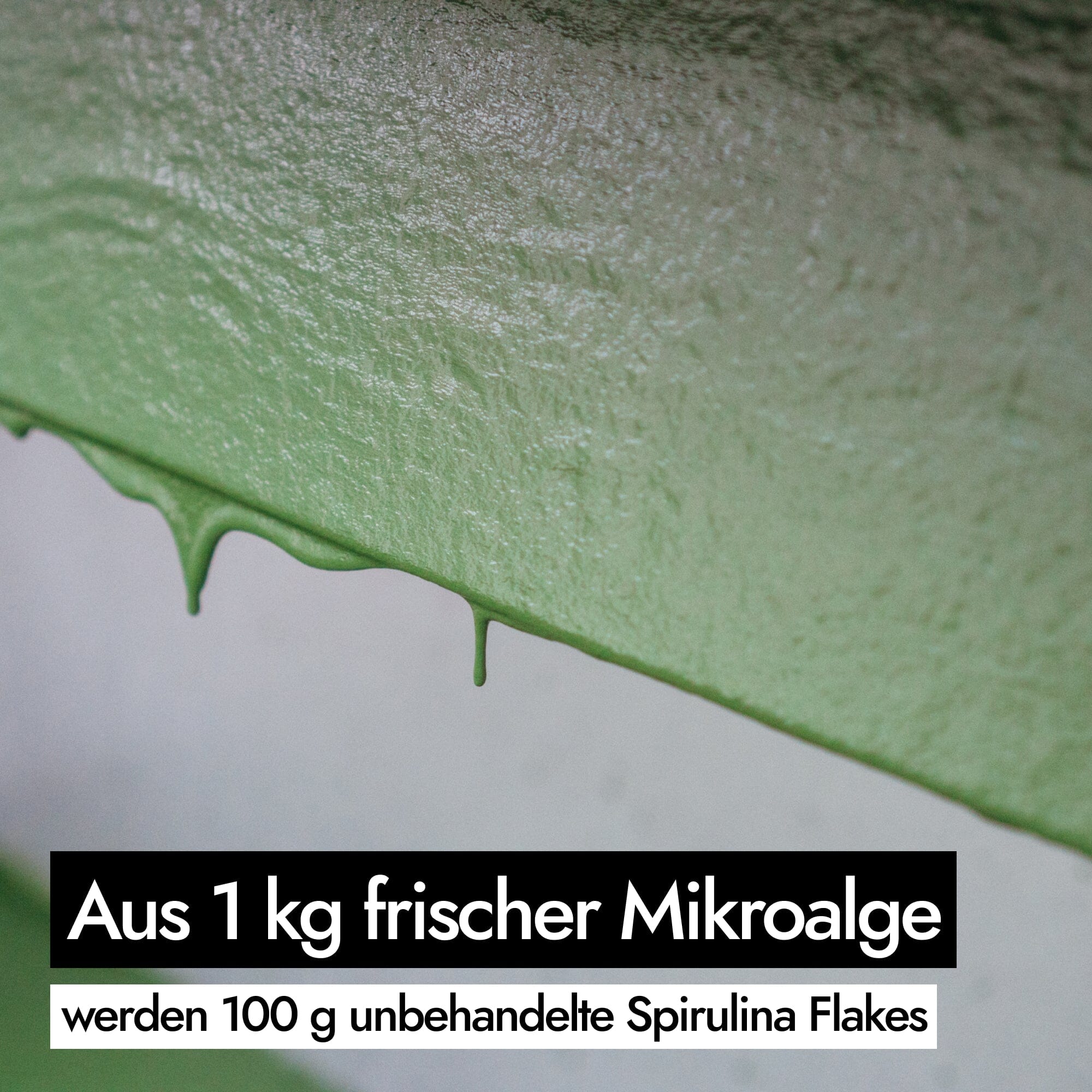 AHO Spirulina Flakes Raw Vegan Granola AHO.BIO GmbH