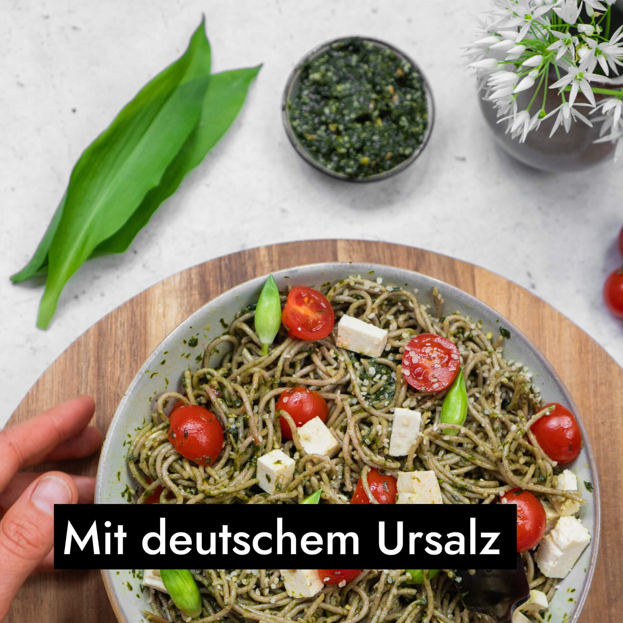 AHO Wildes Bärlauch Pesto Nüsse AHO.BIO GmbH