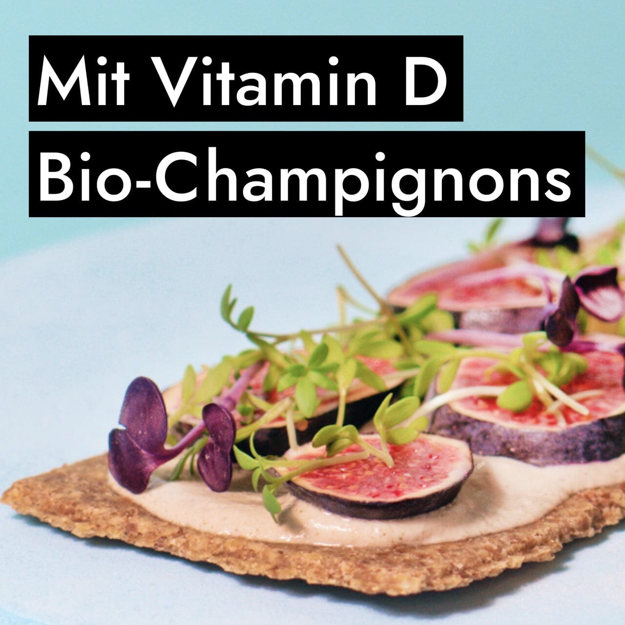 AHO Essēner Rohkostbrot Raw Vegan Cracker AHO.BIO GmbH