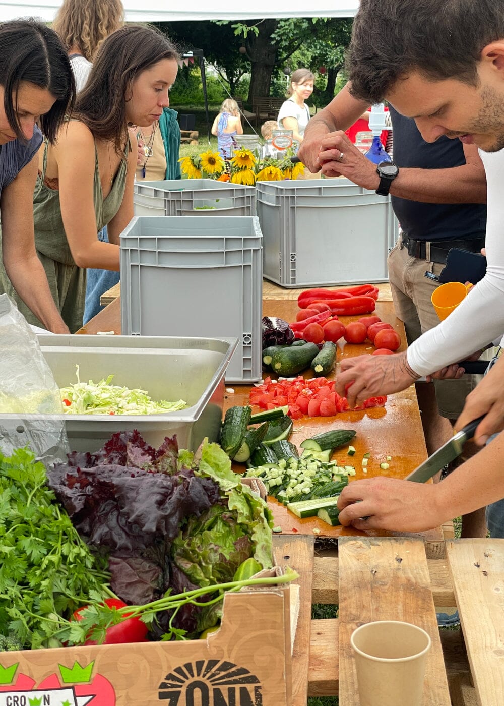 AHO Sommerfest 1. August 2026 Event Event