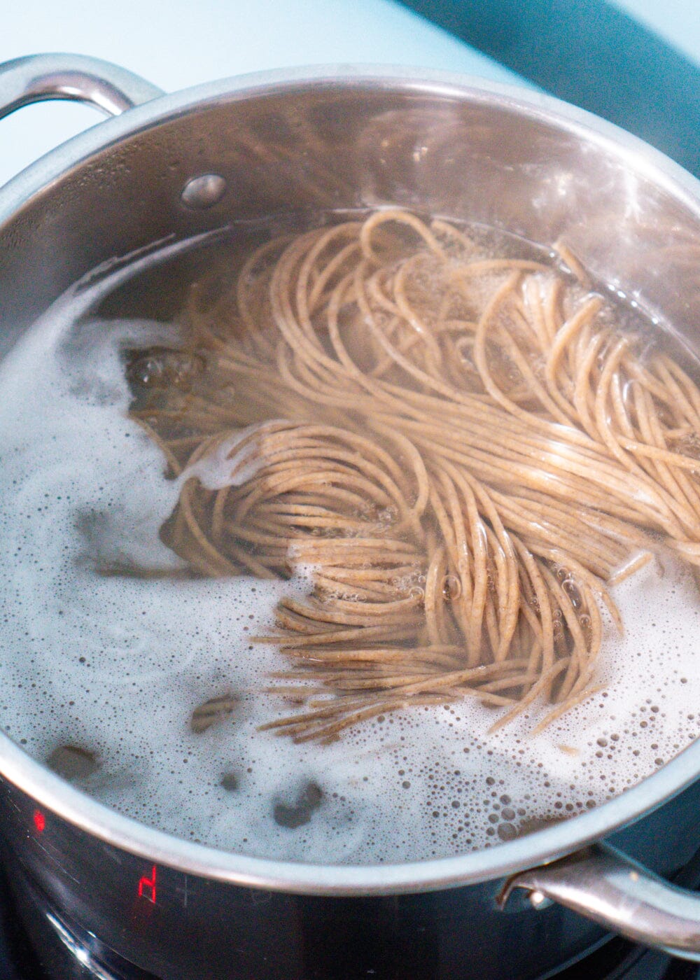 AHO Sprossen Spaghetti Raw Vegan Pasta AHO.BIO GmbH