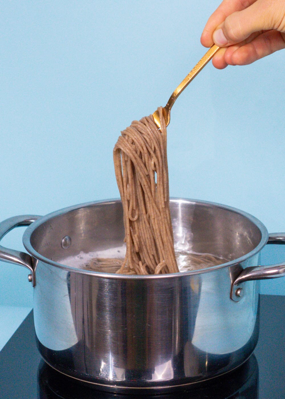AHO Sprossen Spaghetti Raw Vegan Pasta AHO.BIO GmbH