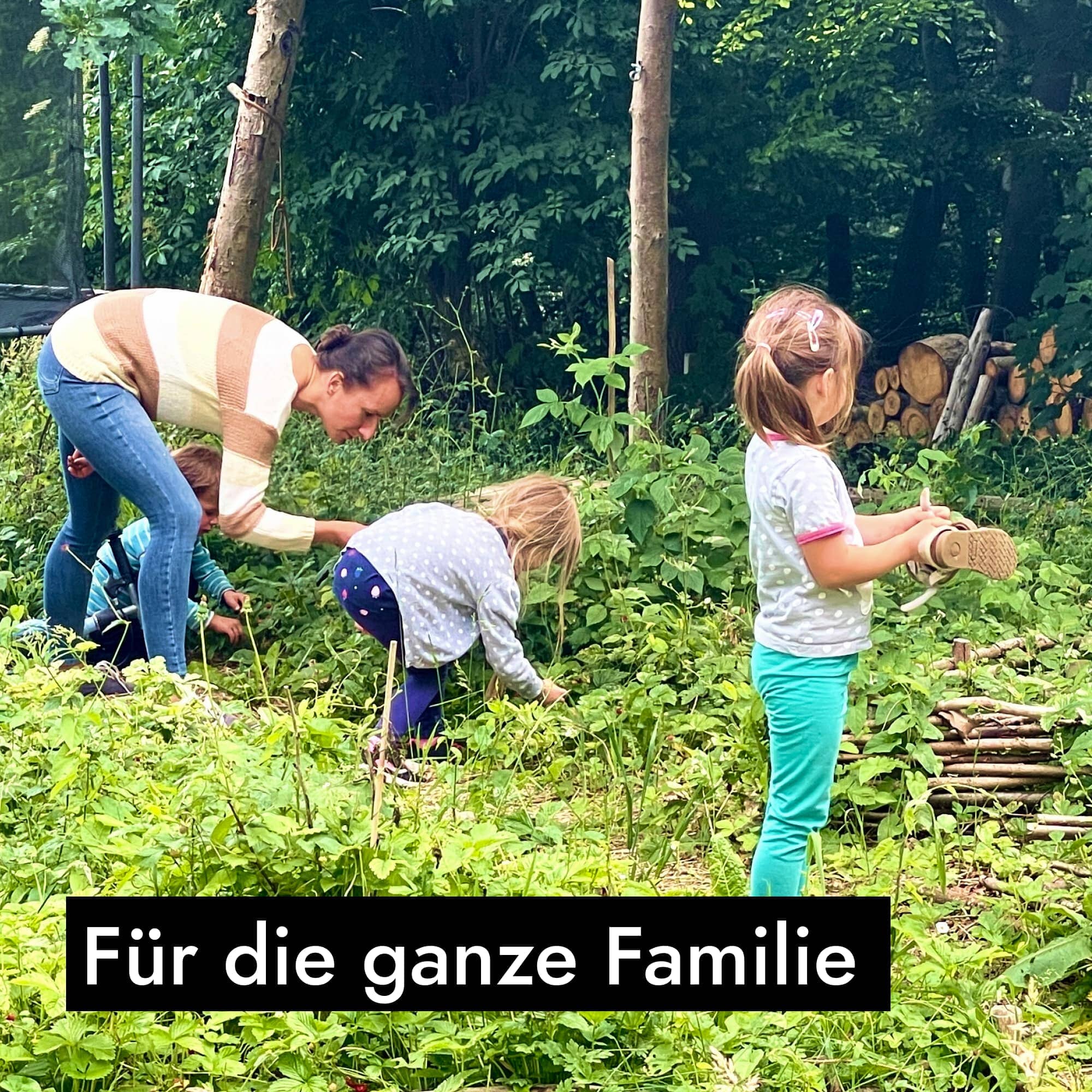 AHO Wildkräutersammlung Event Event