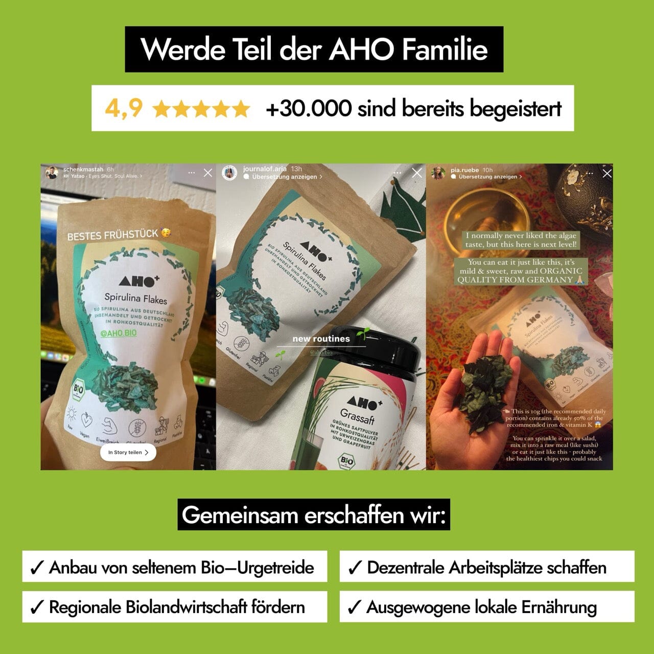 AHO Spirulina Flakes Raw Vegan Granola AHO.BIO GmbH