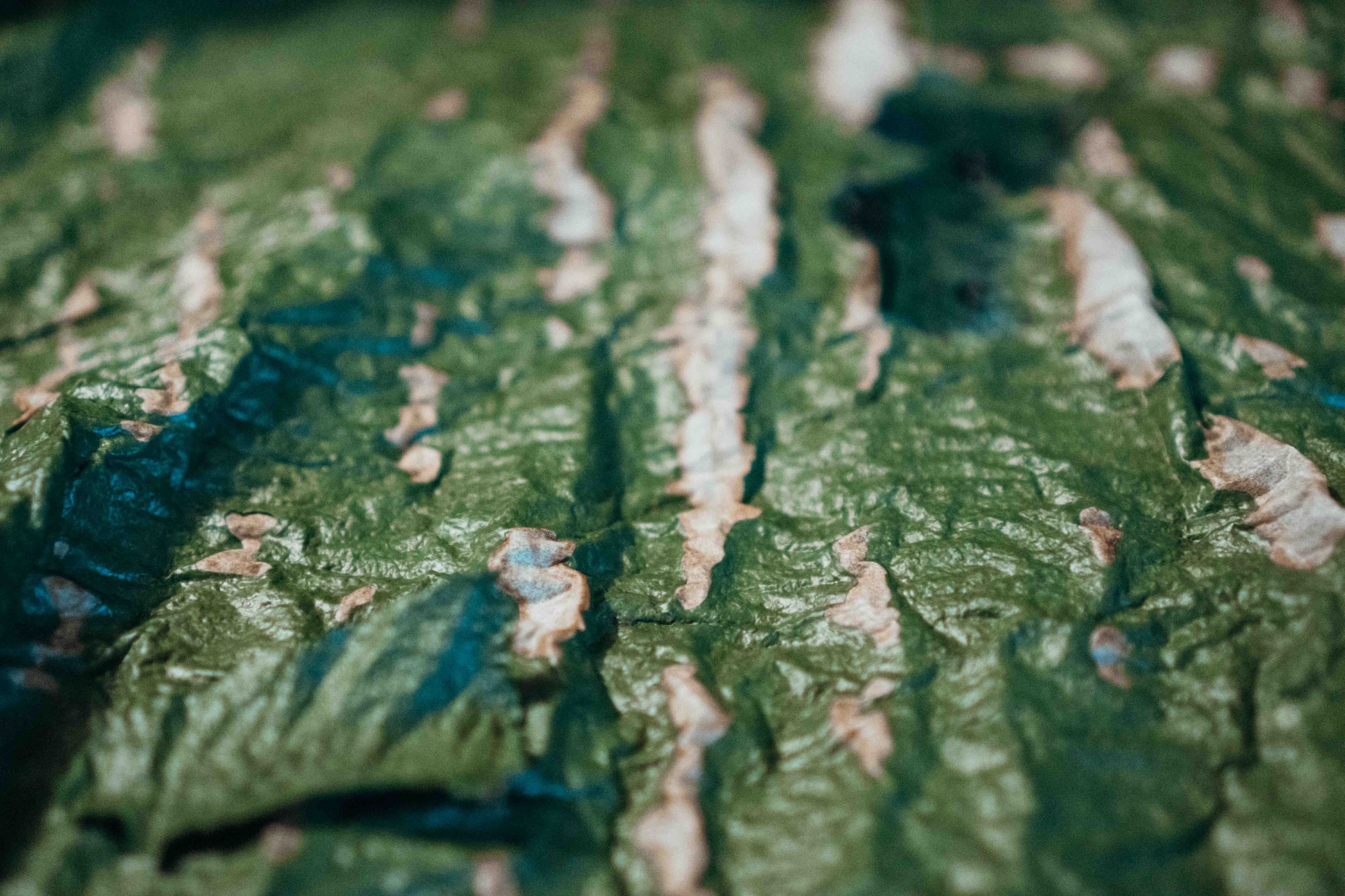 AHO Spirulina Flakes Raw Vegan Granola AHO.BIO GmbH