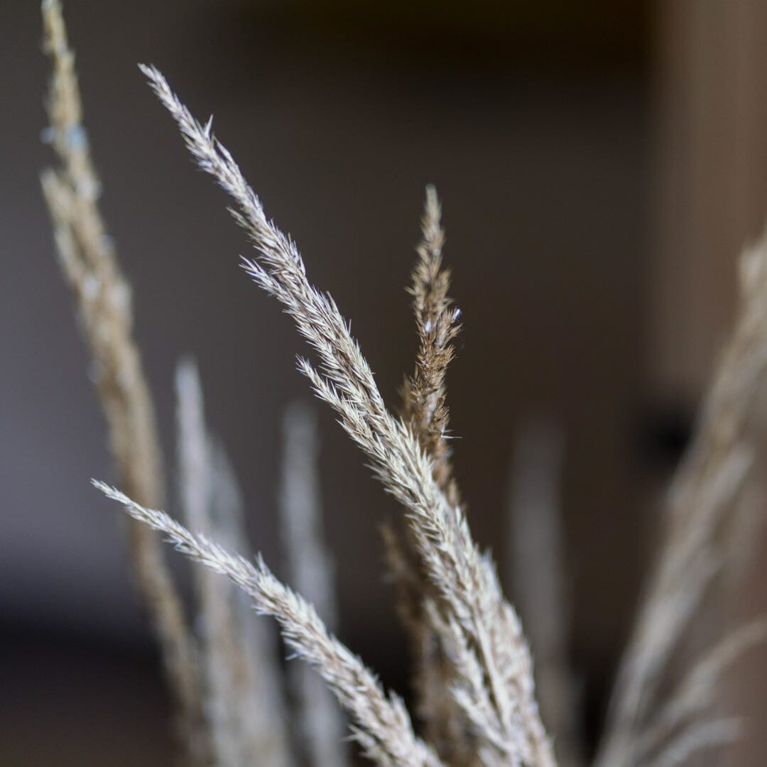 AHO Yoga Retreat: Sound of Yoga Event Event