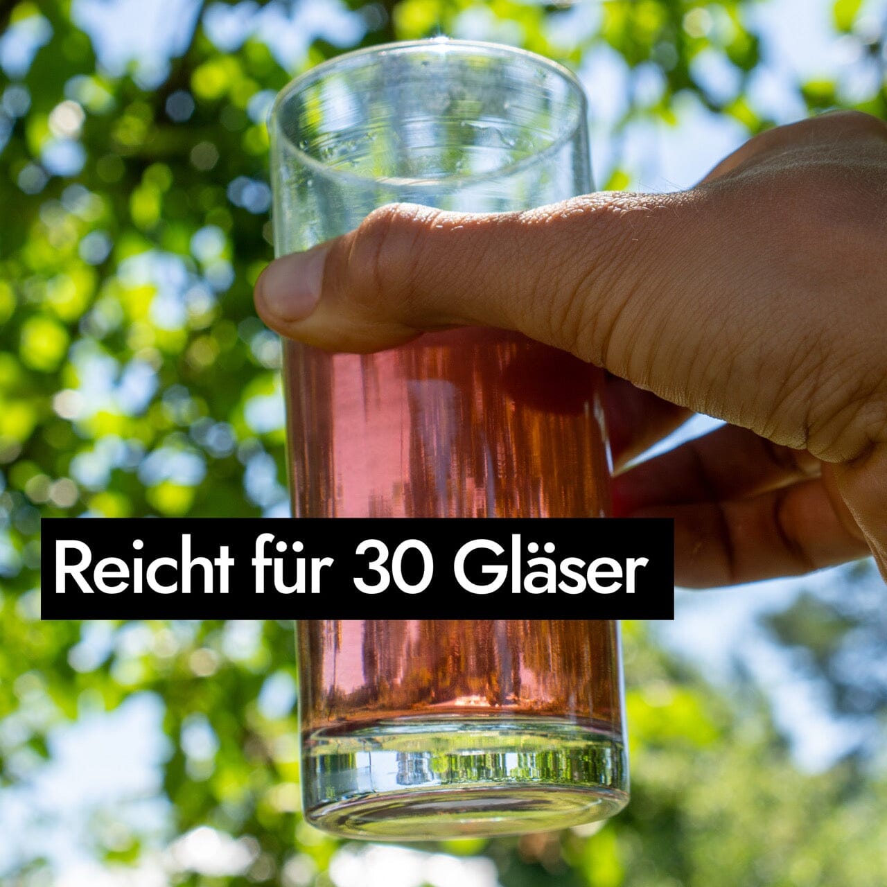AHO Hibiskus Kollagen Nahrungsergänzung AHO.BIO GmbH