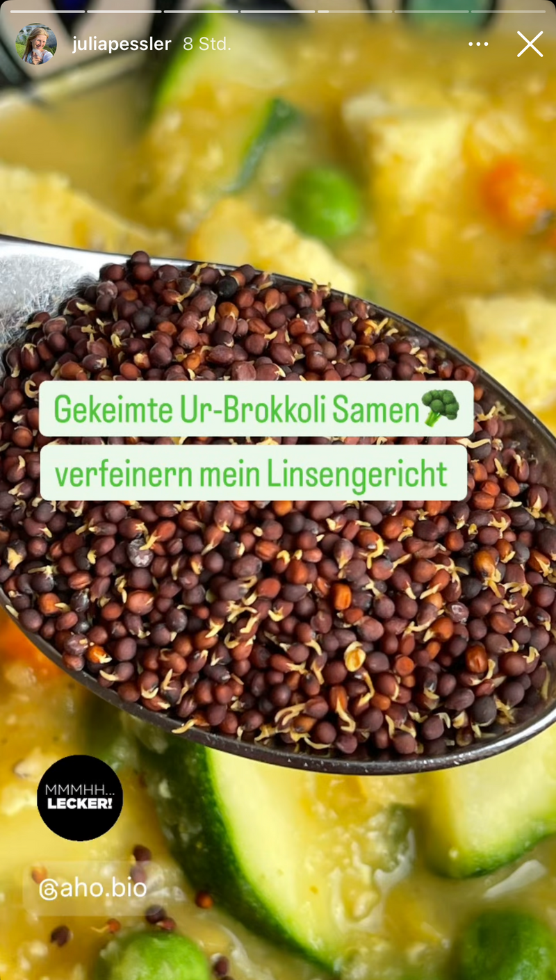 UGC AHO Brokkolisamen auf Loeffel