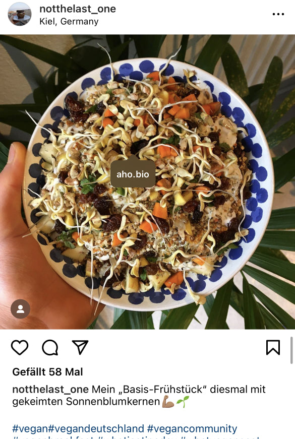 UGC AHO Gekeimte Sonnenblumenkerne Bowl Sprossen