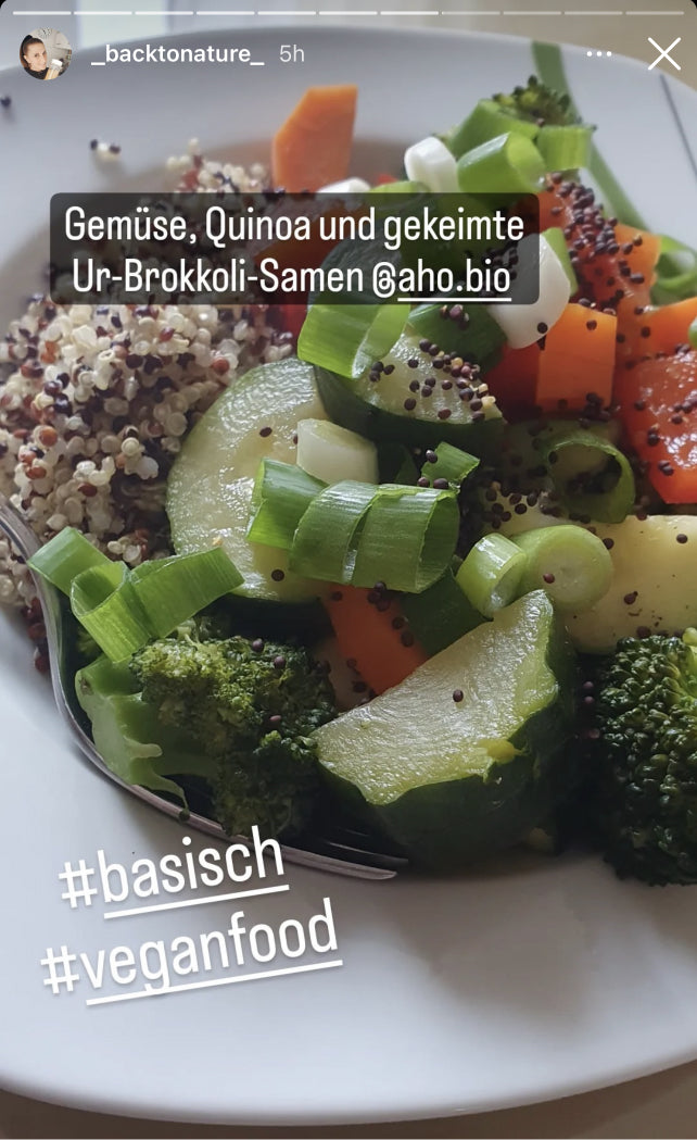 UGC AHO Gekeimte Ur-Brokkoli-Samen Bowl Brokkoli Frühlingszwiebeln