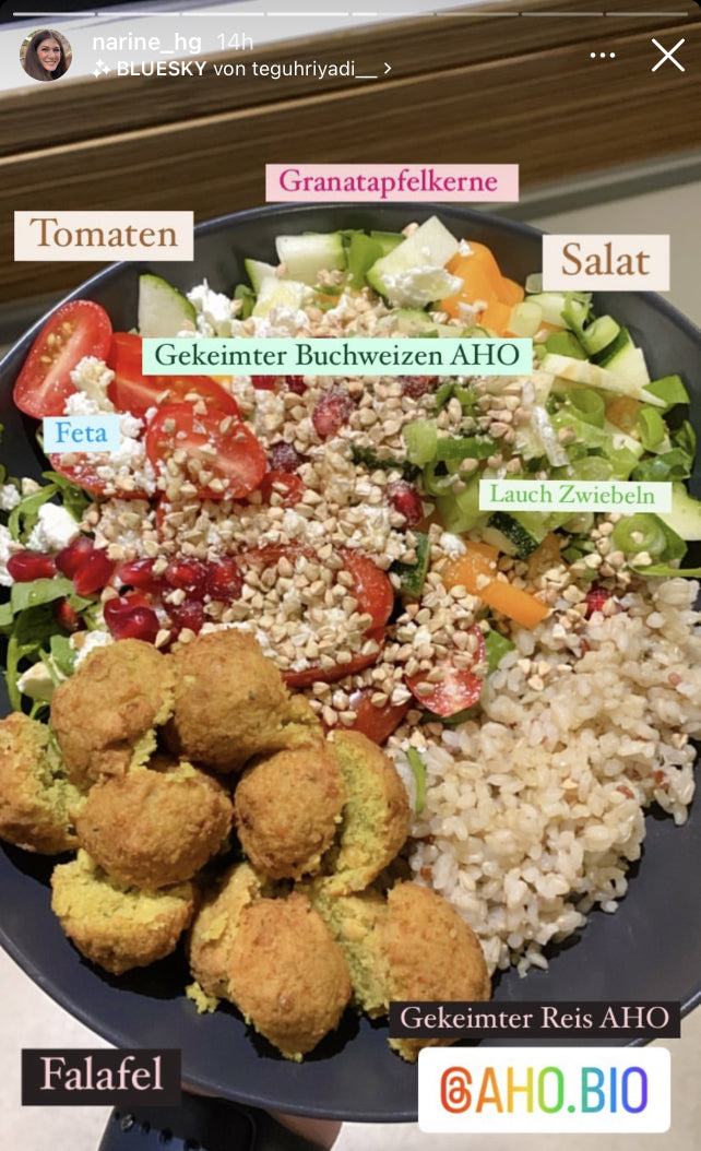 UGC AHO Gekeimter Buchweizen Falafel