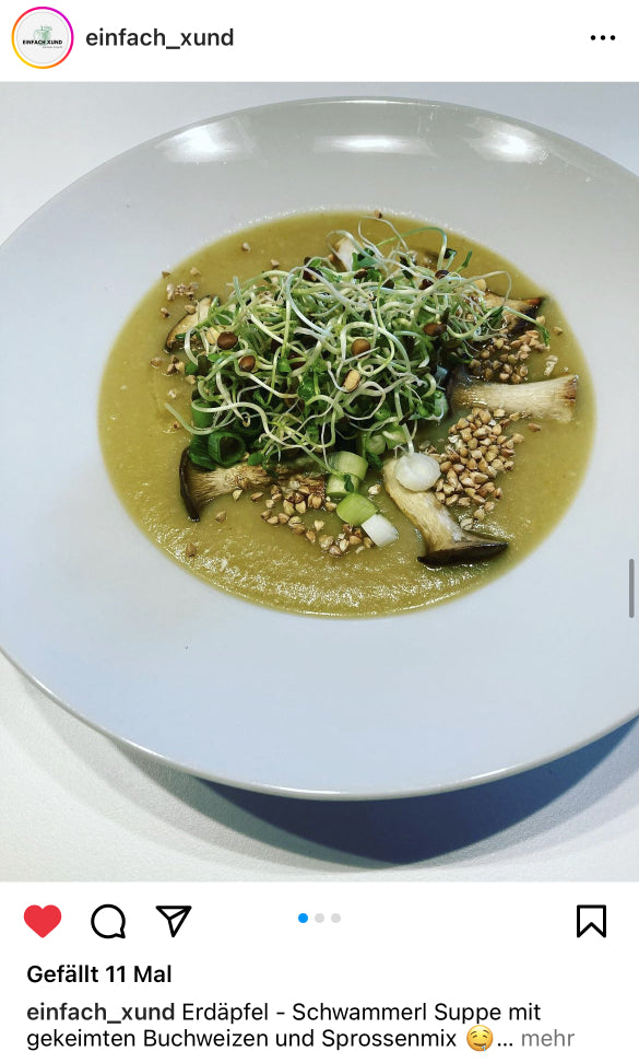 UGC AHO Gekeimter Buchweizen Suppe Sprossen