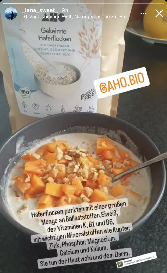 UGC AHO Haferflocken Bowl Milch Obst