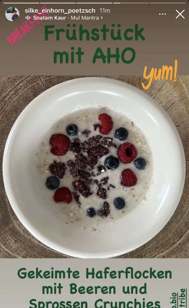 UGC AHO Haferflocken Bowl mit roten Beeren