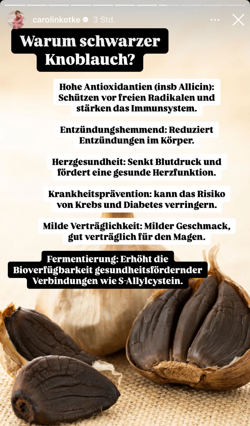 UGC AHO Knoblauch Blog