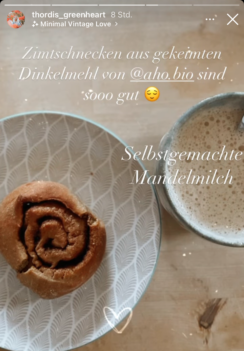 UGC AHO Mehl Zimtschnecken