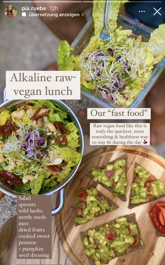 UGC AHO Pizza Cracker 'Alkaline raw-vegan lunch'