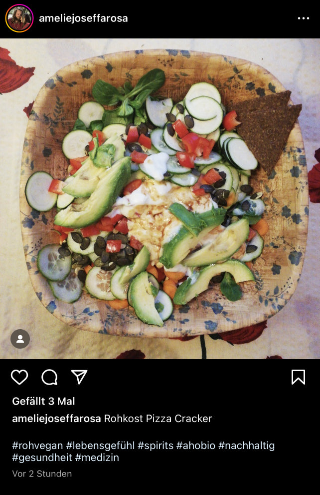 UGC AHO Pizza Cracker Bowl Avocado Gurken