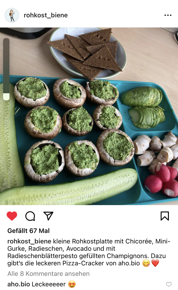 UGC AHO Pizza Cracker gefüllte Pilze