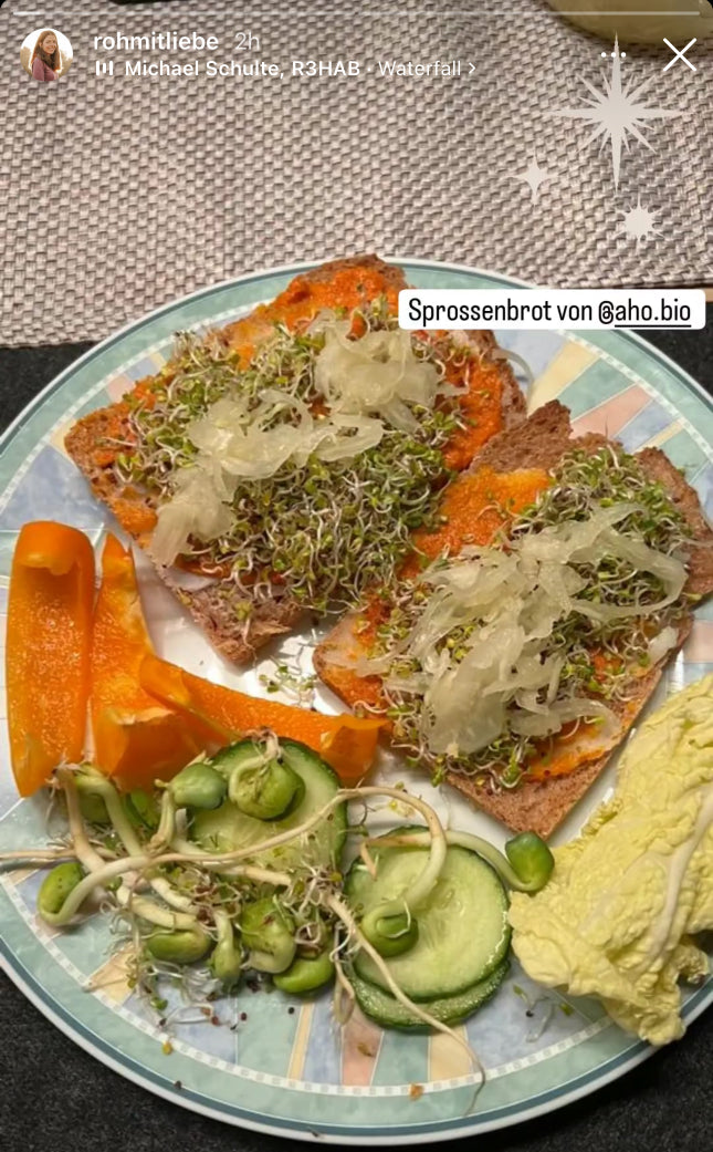 UGC AHO Sprossen Brot belegt Sprossen Paprika Gruke