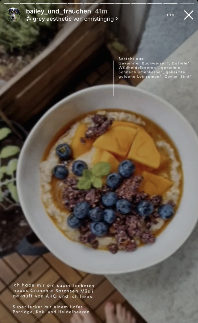 UGC AHO Sprossen Crunchies Schale Blaubeeren