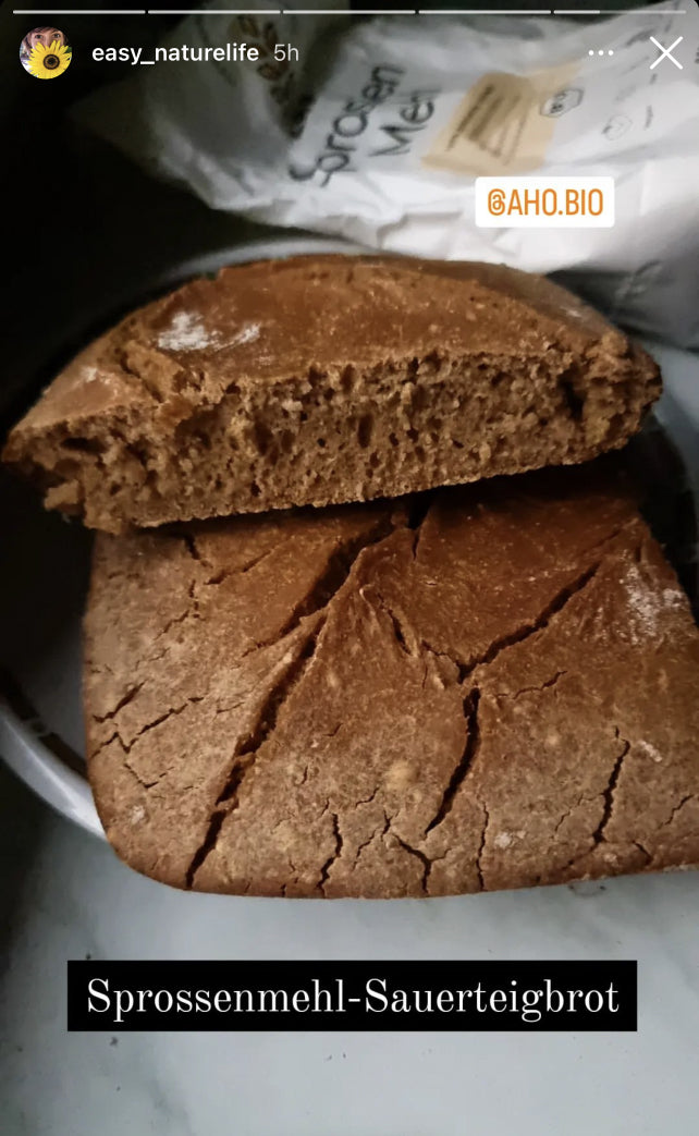 UGC AHO Sprossen Mehl Brot Sprossenmehl-Sauerteigbrot