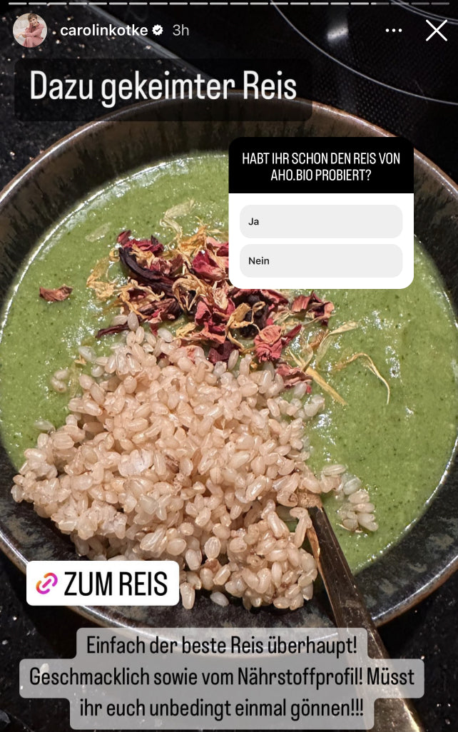 UGC AHO Sprossen Reis Bowl Suppe