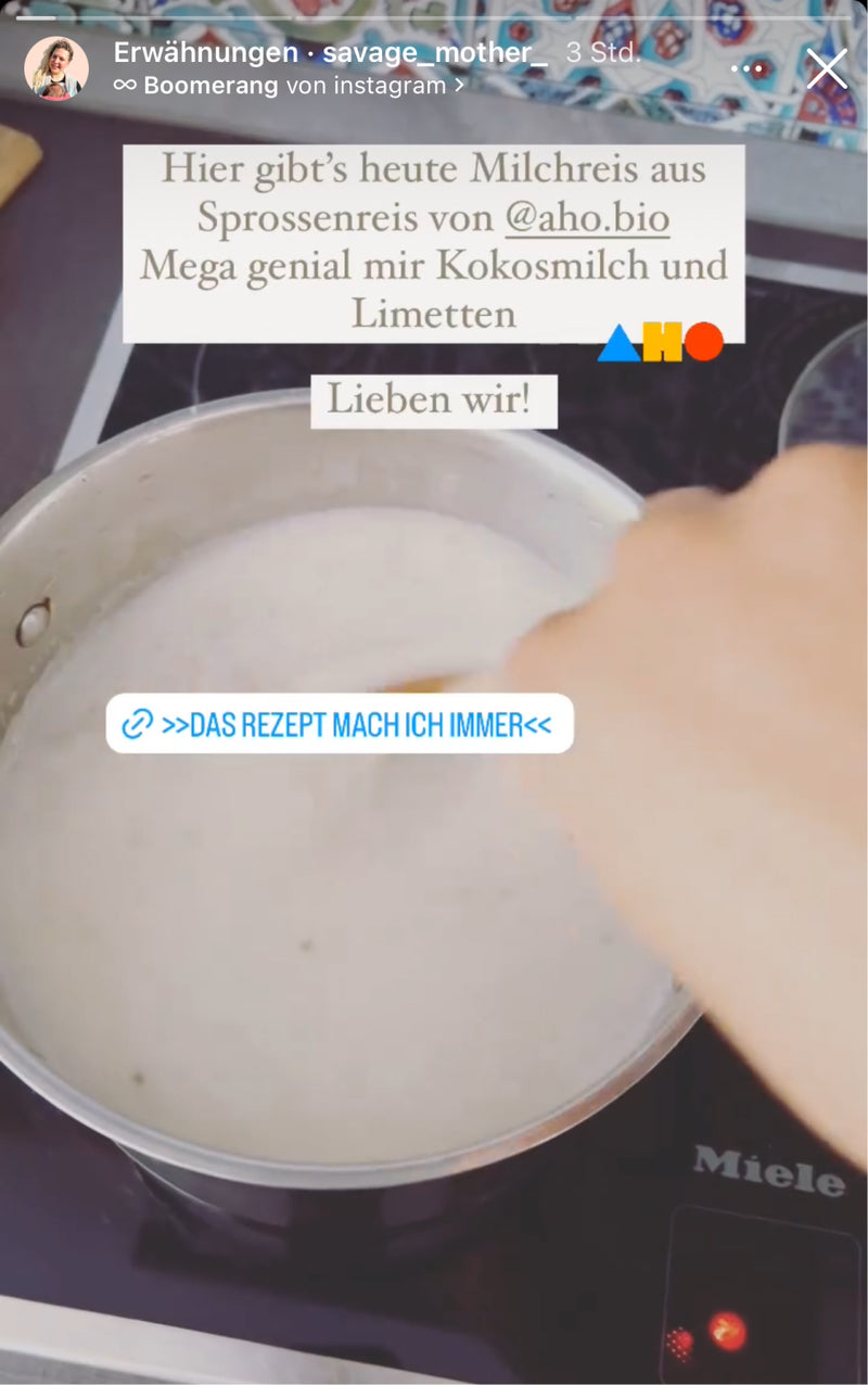 Sprossen Reis als Milchreis im Topf