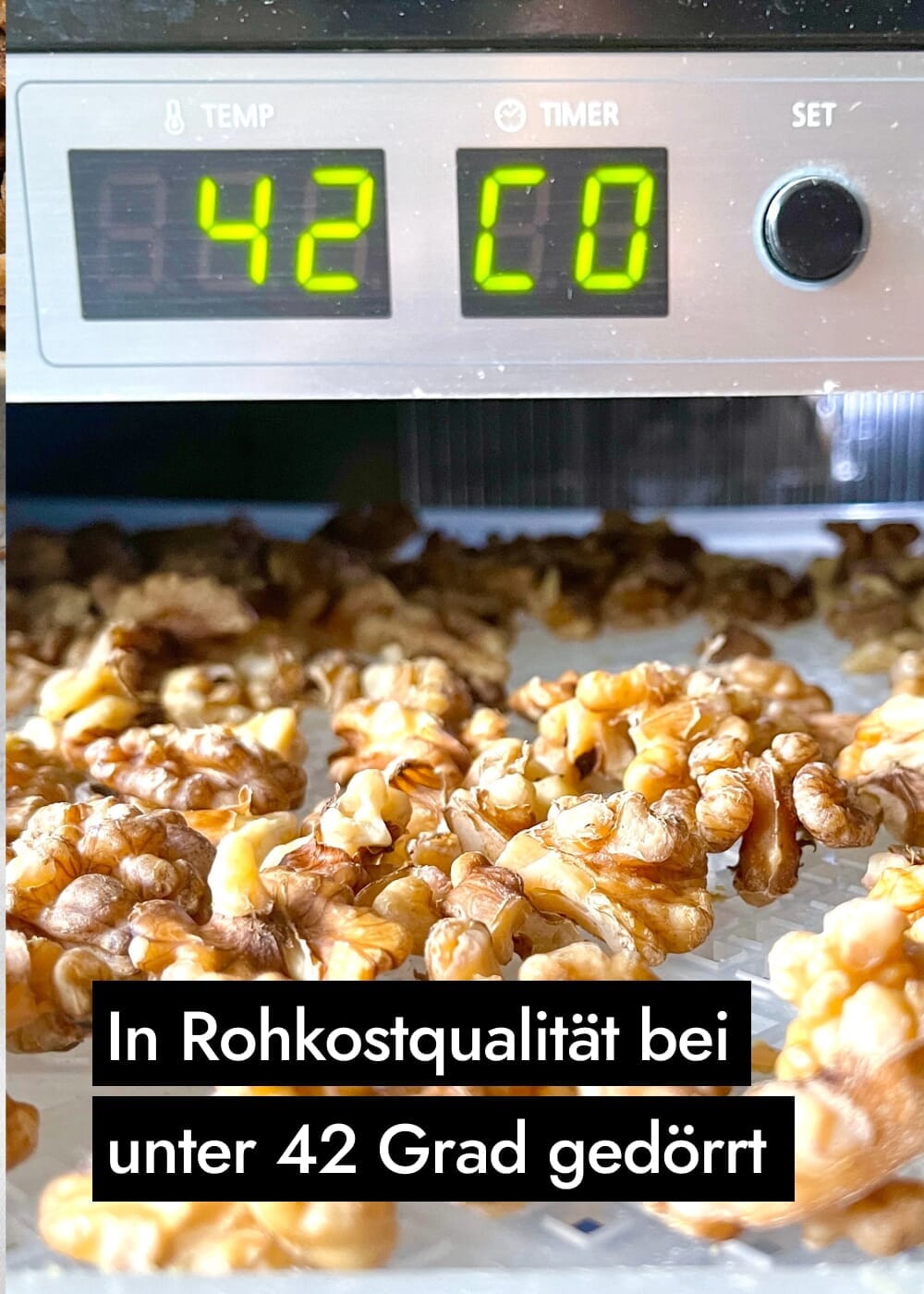 AHO Aktivierte Walnüsse Nüsse AHO.BIO GmbH