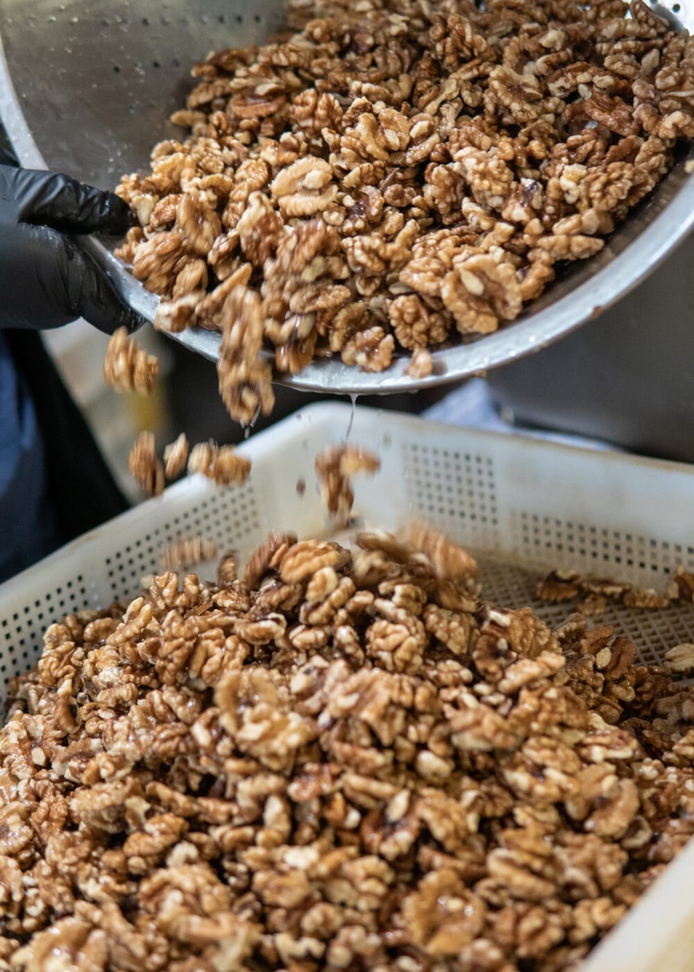 AHO Aktivierte Walnüsse Nüsse AHO.BIO GmbH