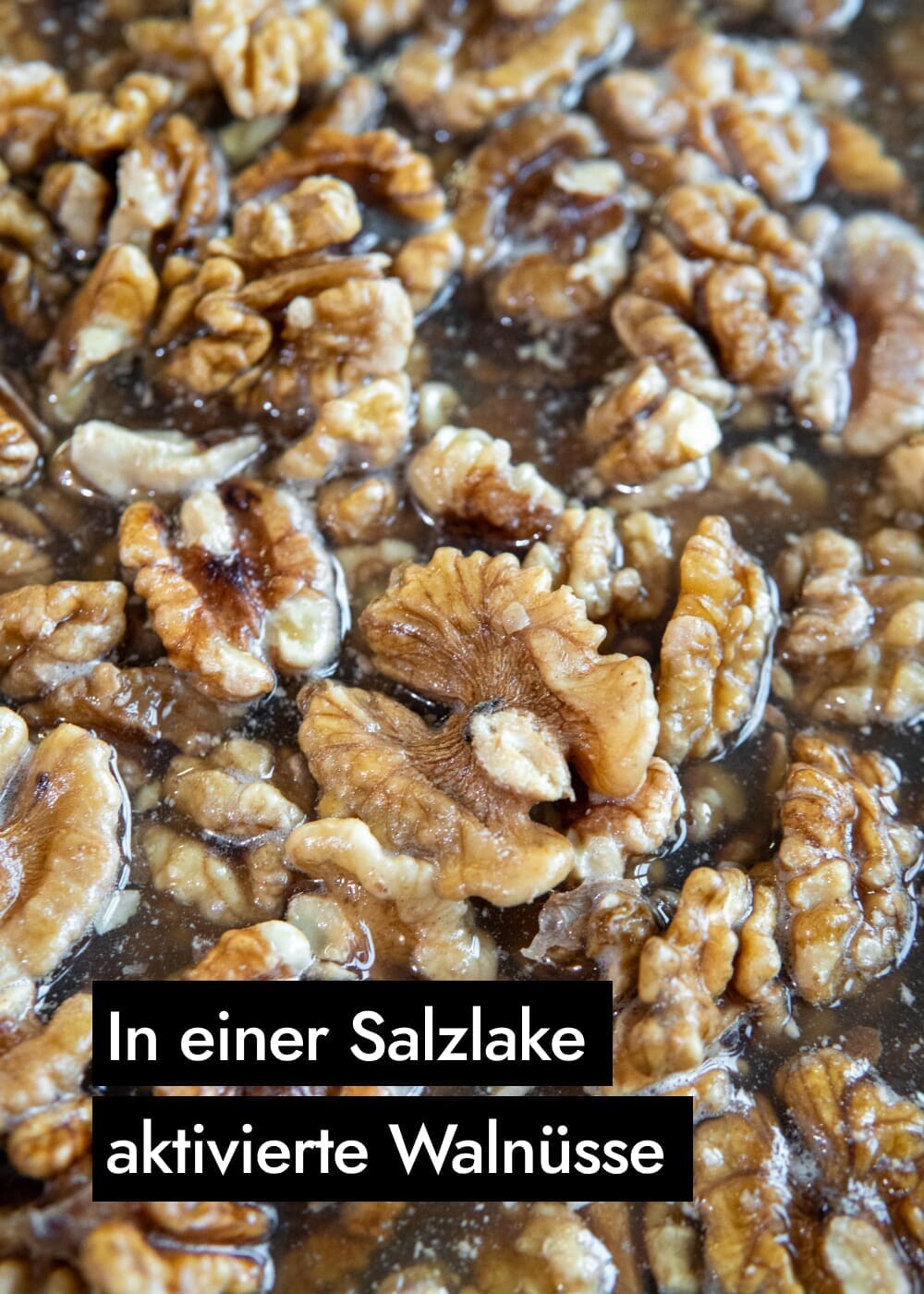 AHO Aktivierte Walnüsse Nüsse AHO.BIO GmbH
