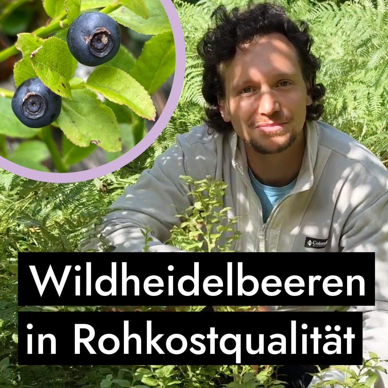 AHO Wildheidelbeer Amino Drink Nahrungsergänzung AHO.BIO GmbH