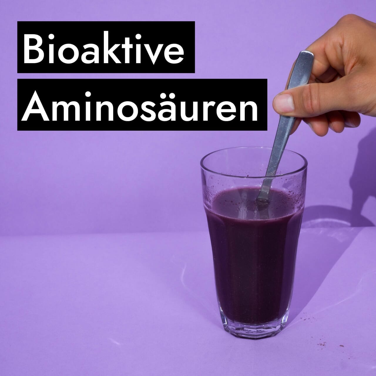 AHO Wildheidelbeer Amino Drink Nahrungsergänzung AHO.BIO GmbH