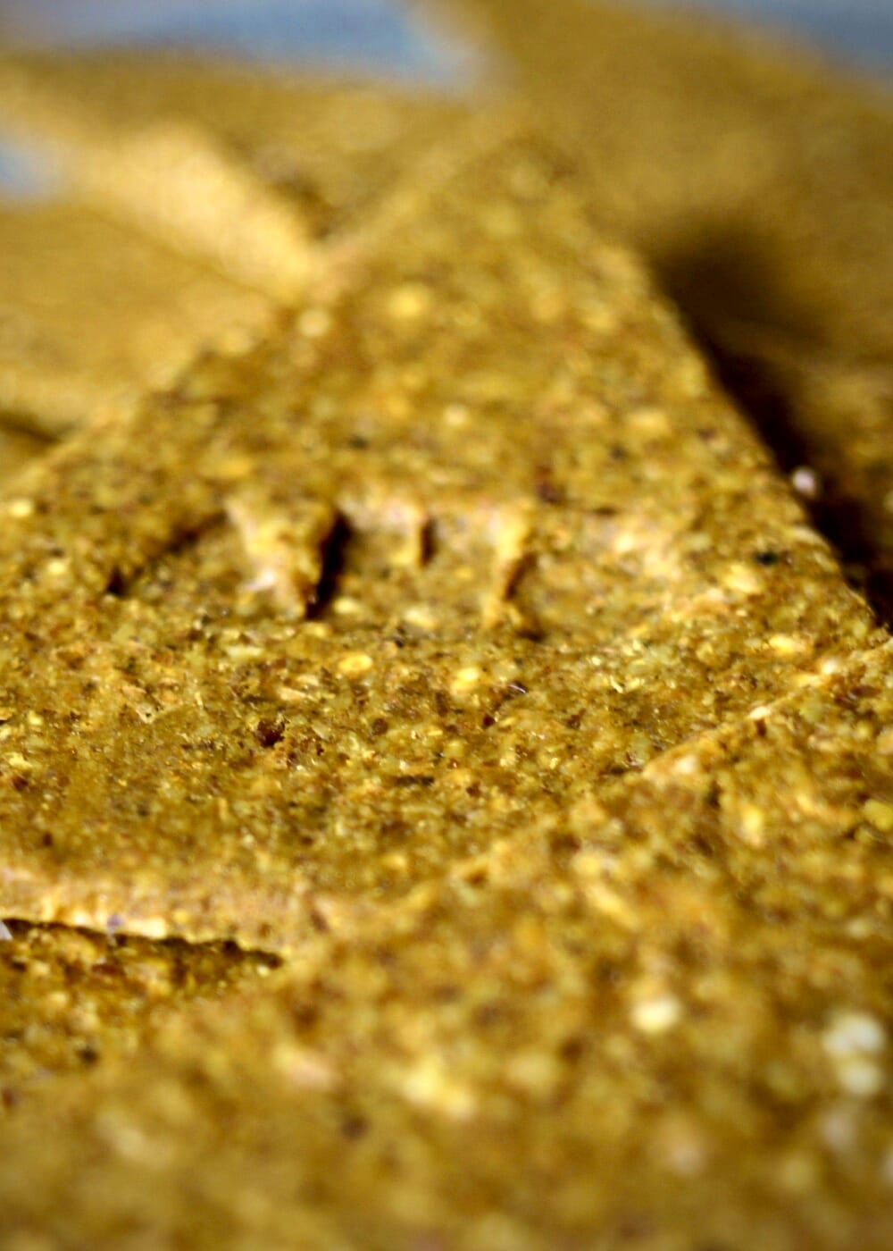 AHO Curry Cracker 2.0 Raw Vegan Cracker AHO.BIO GmbH