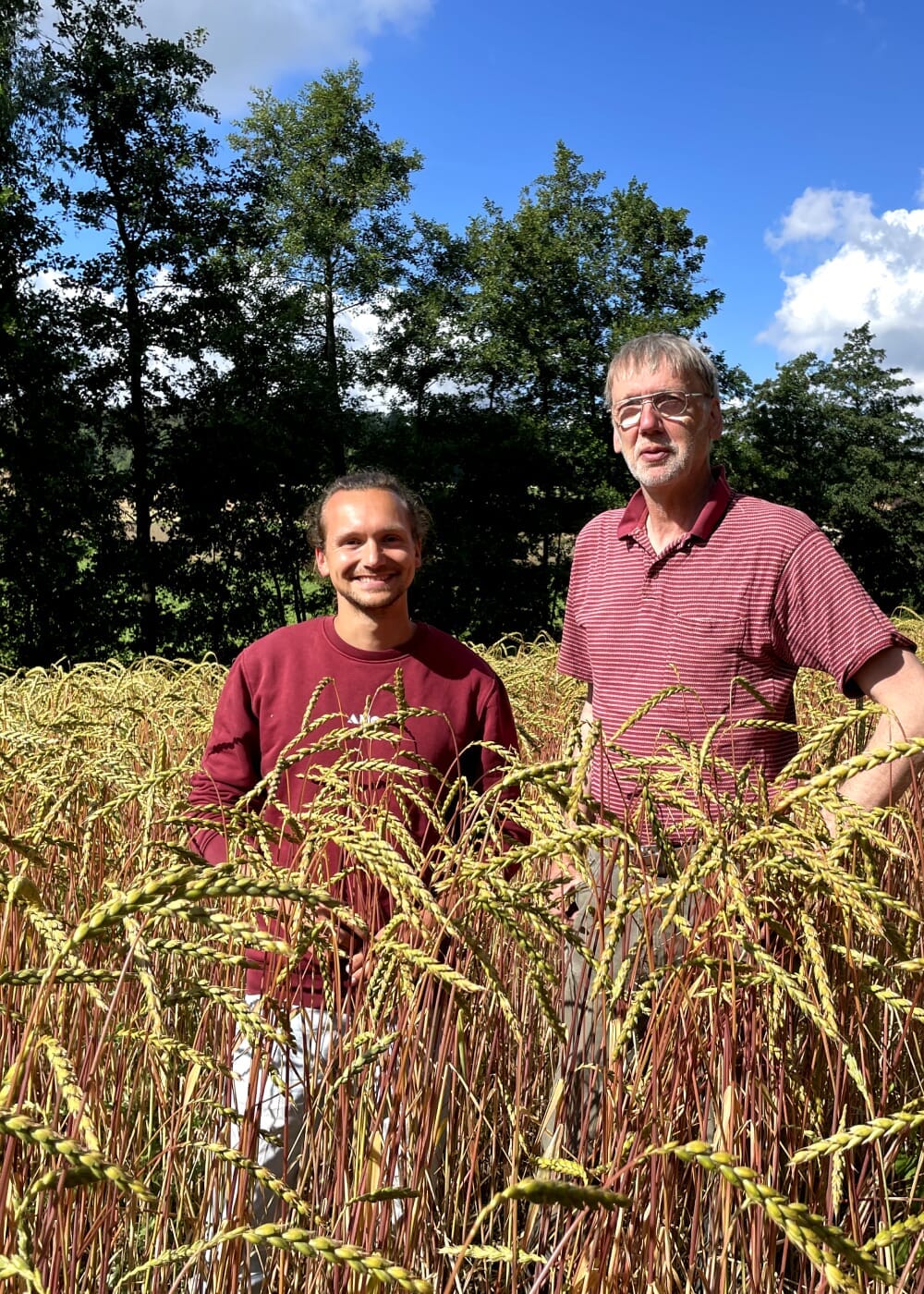 AHO Curry Cracker 2.0 Raw Vegan Cracker AHO.BIO GmbH