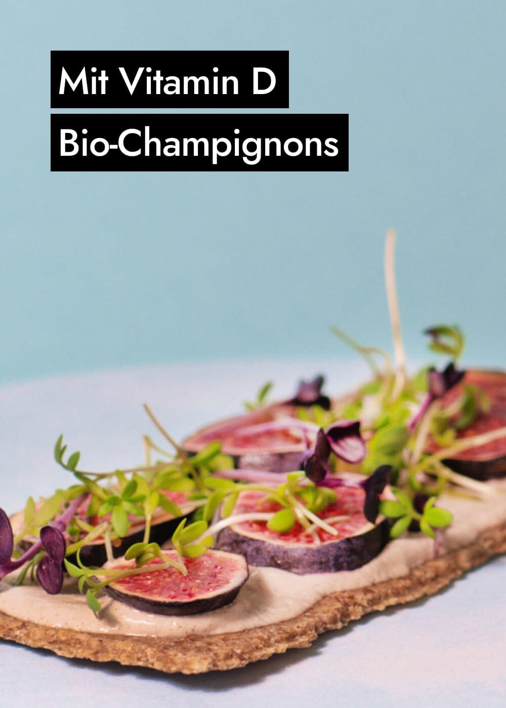AHO Essēner Rohkostbrot Raw Vegan Cracker AHO.BIO GmbH
