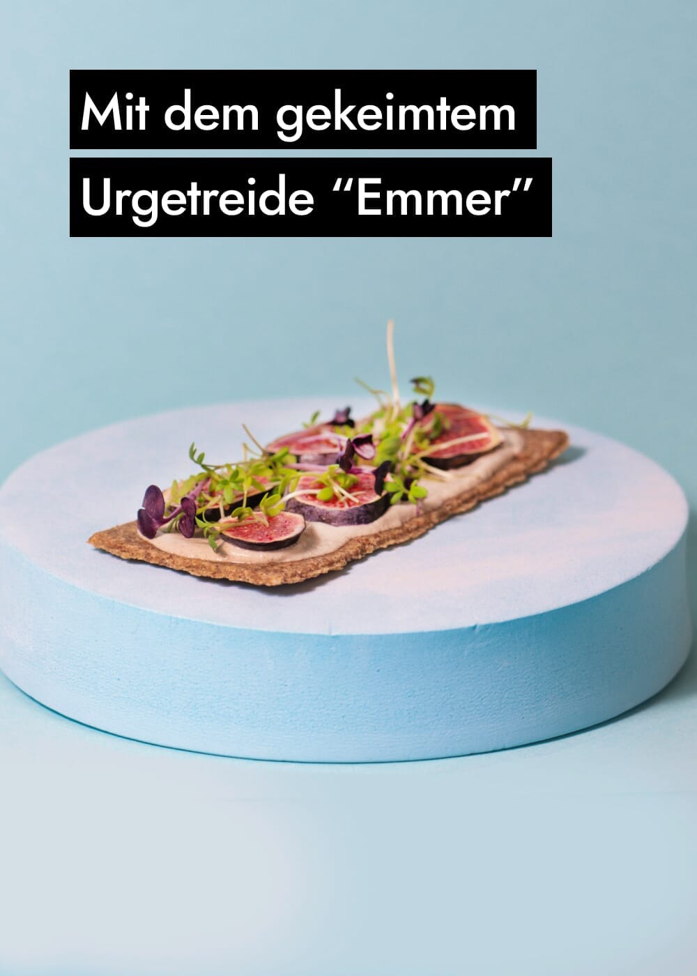 AHO Essēner Rohkostbrot Raw Vegan Cracker AHO.BIO GmbH