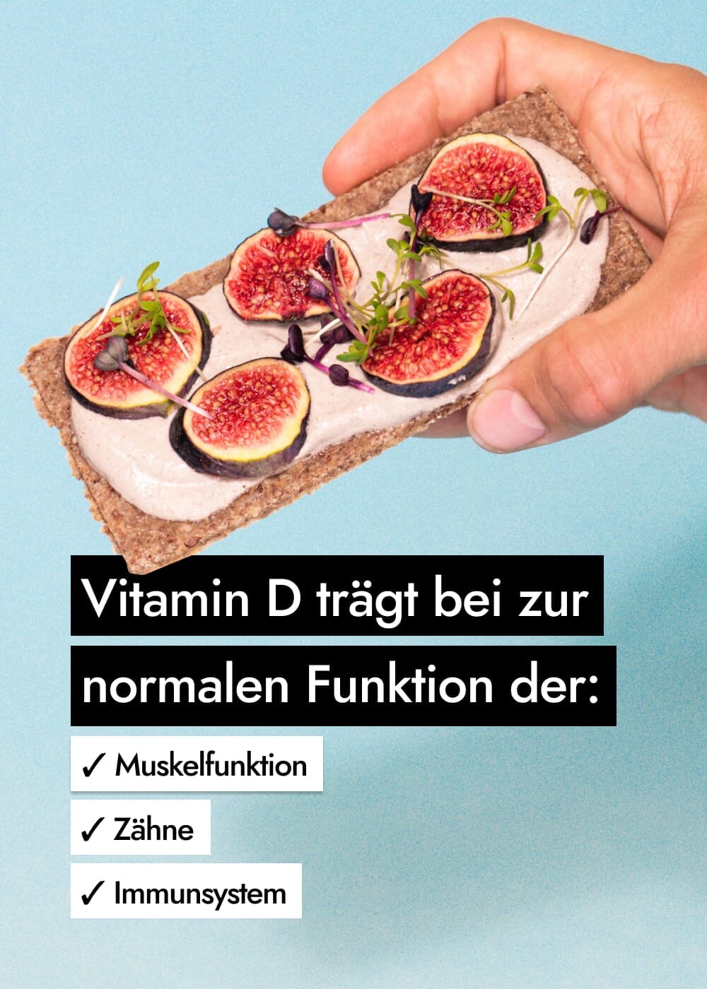 AHO Essēner Rohkostbrot Raw Vegan Cracker AHO.BIO GmbH