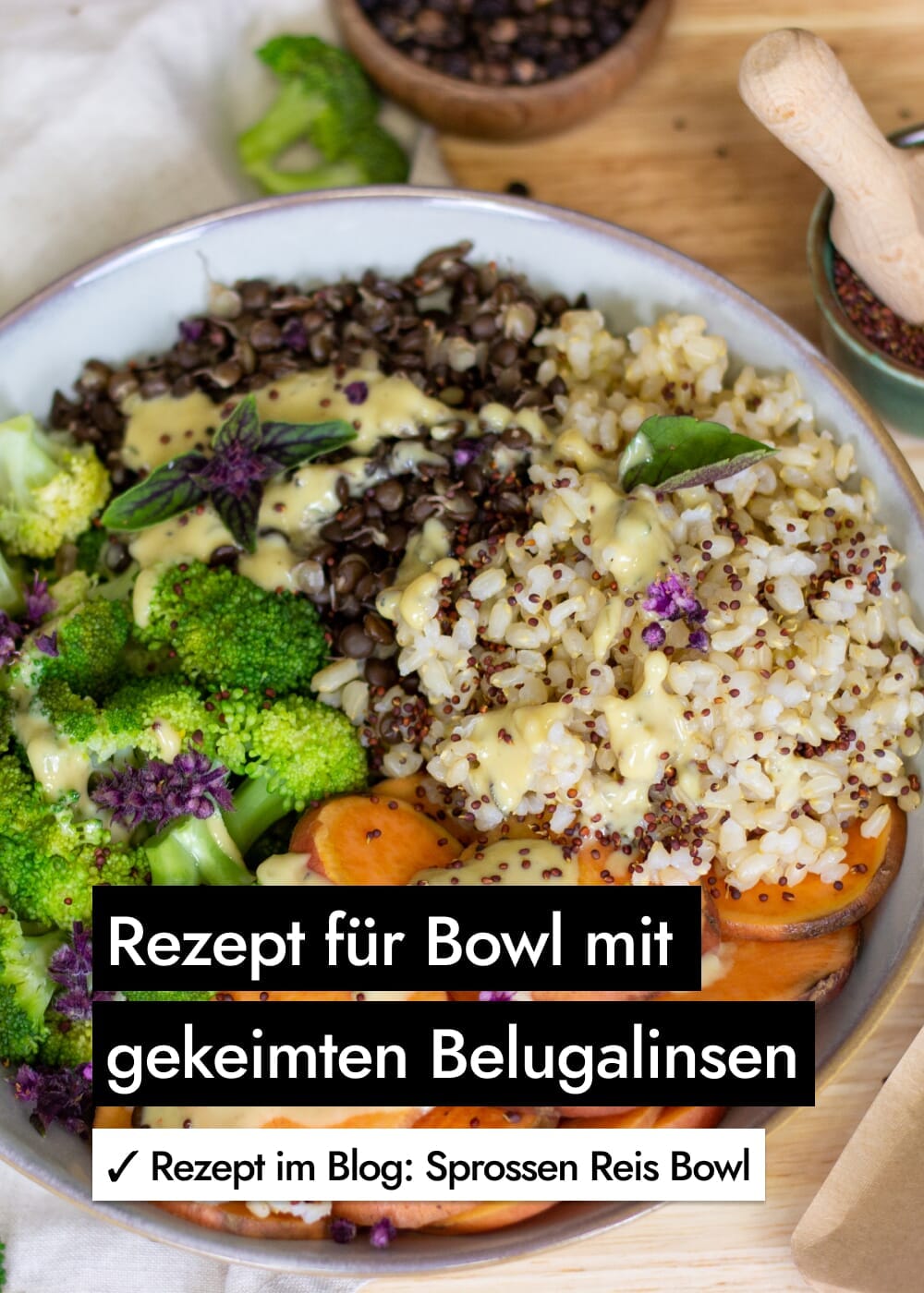 AHO Gekeimte Belugalinsen Ölsaaten AHO.BIO GmbH