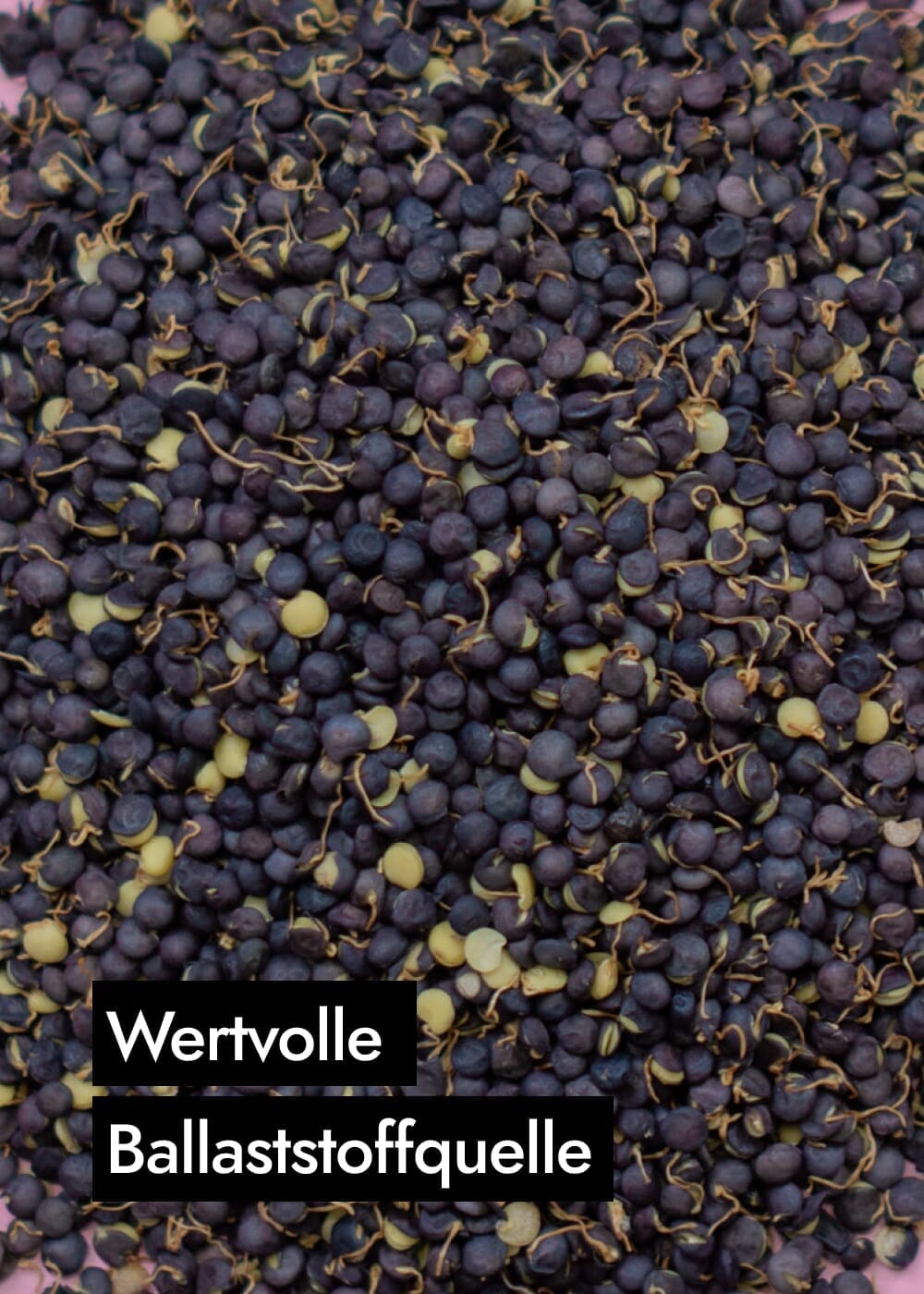 AHO Gekeimte Belugalinsen Ölsaaten AHO.BIO GmbH