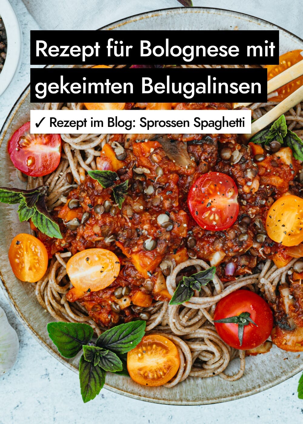 AHO Gekeimte Belugalinsen Ölsaaten AHO.BIO GmbH